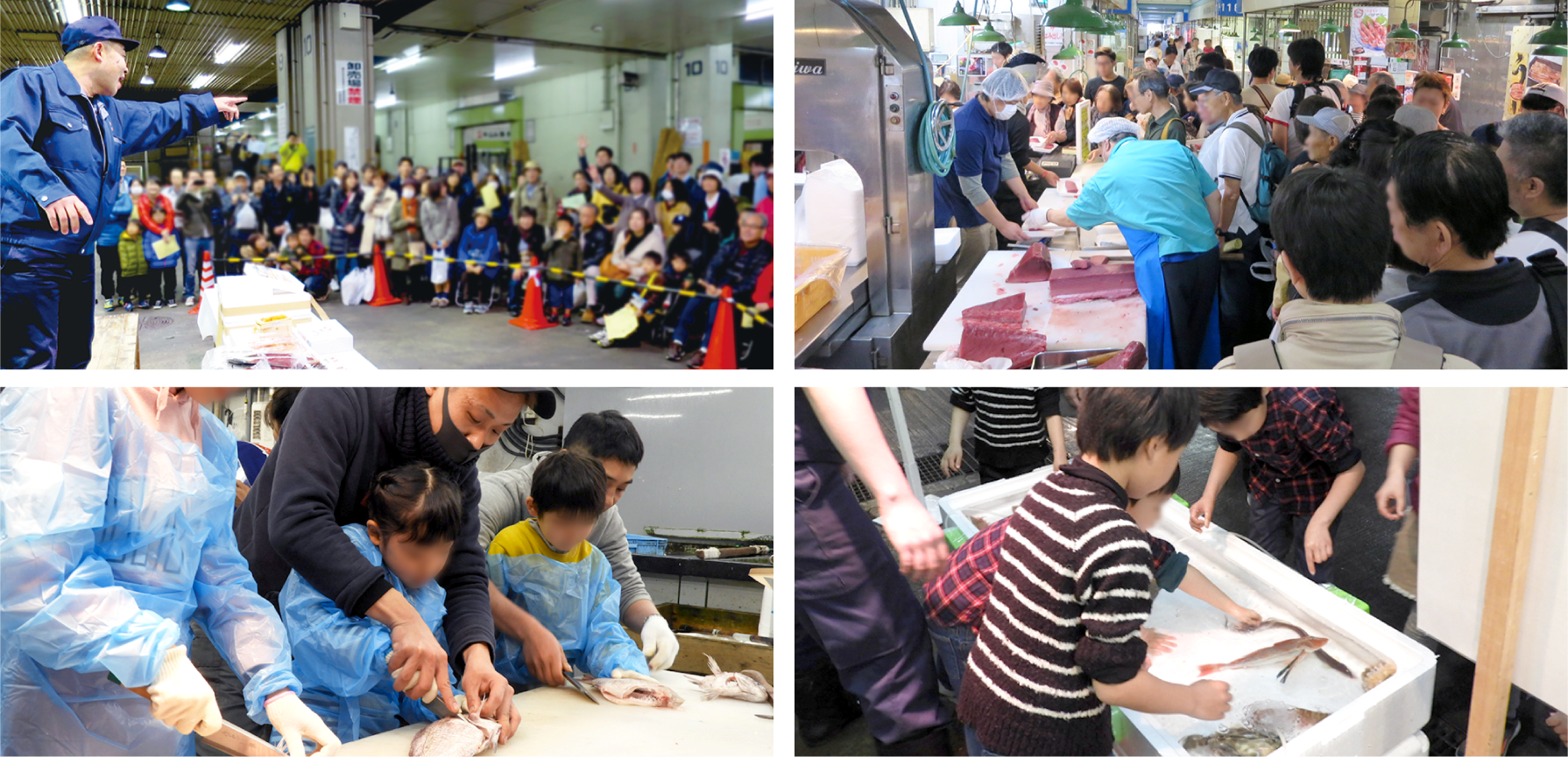 神戸おさかな普及協会