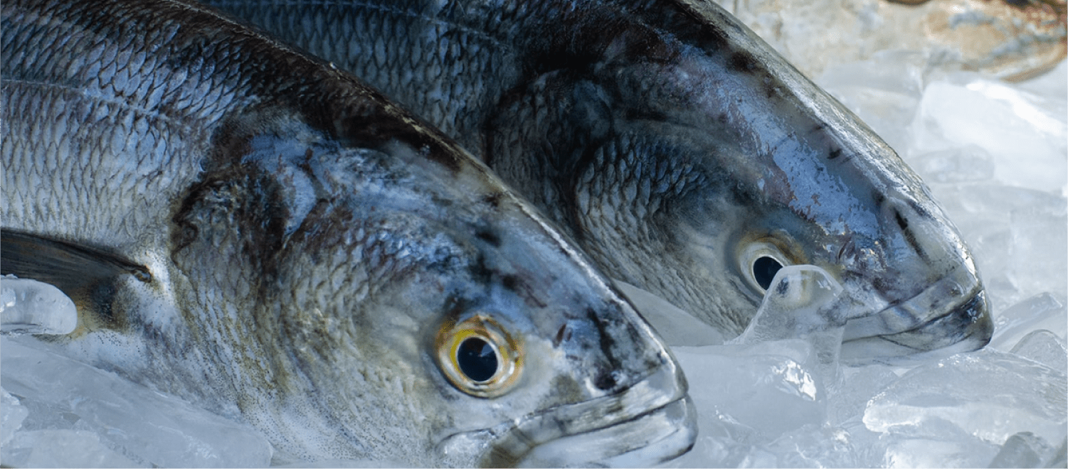 神戸水産物卸協同組合 写真02