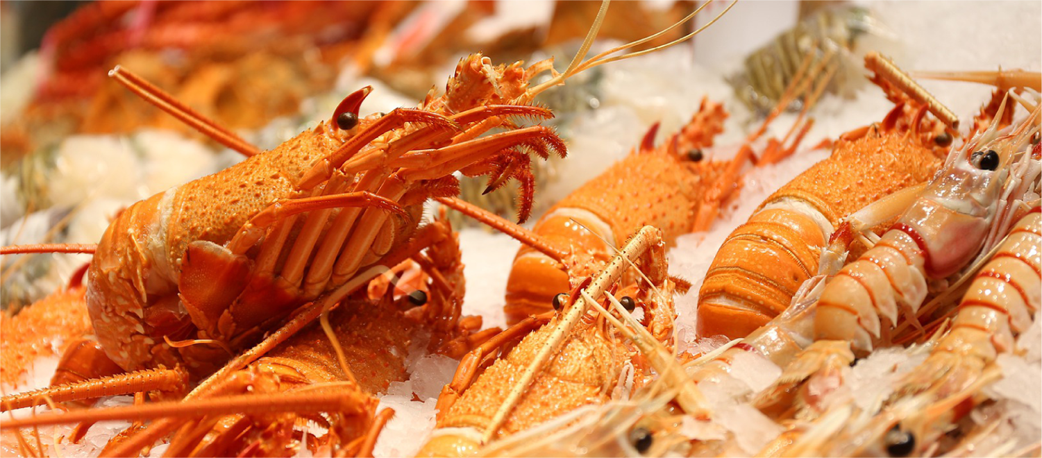 神戸水産物卸協同組合 写真03