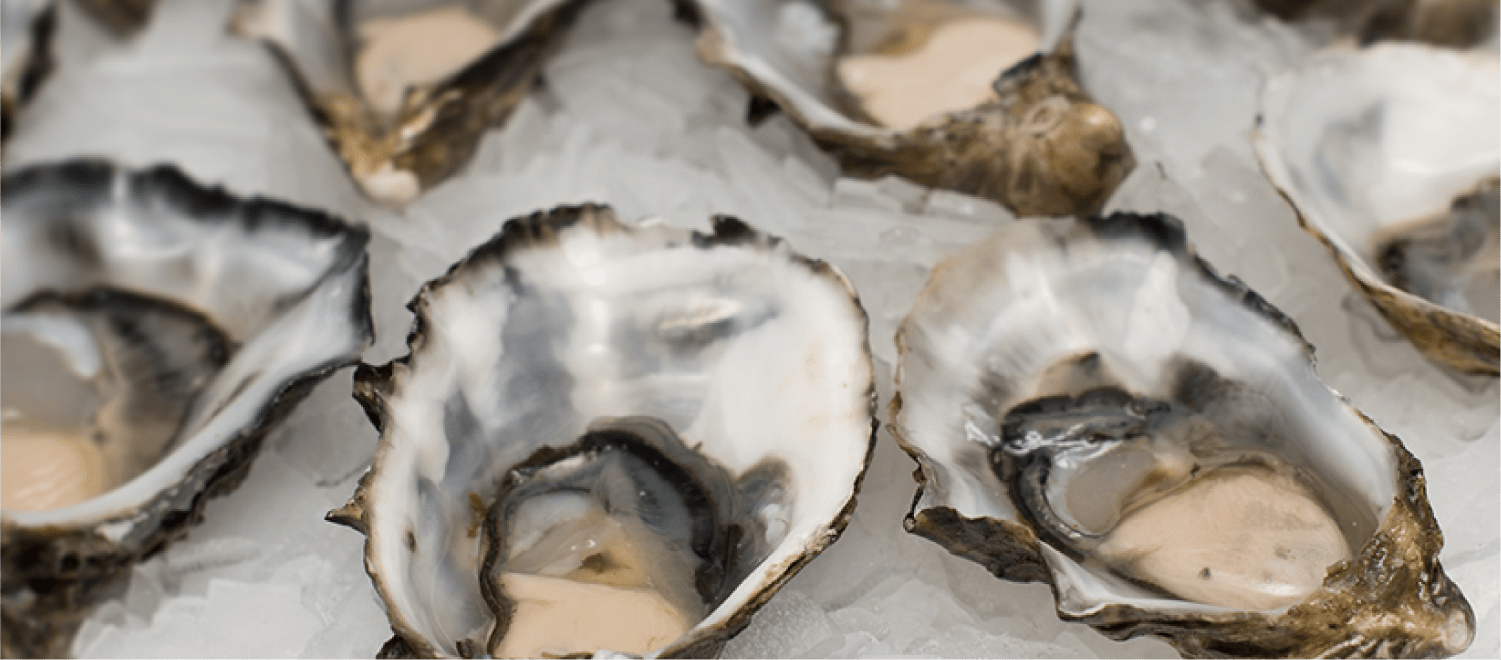 神戸水産物卸協同組合 写真04