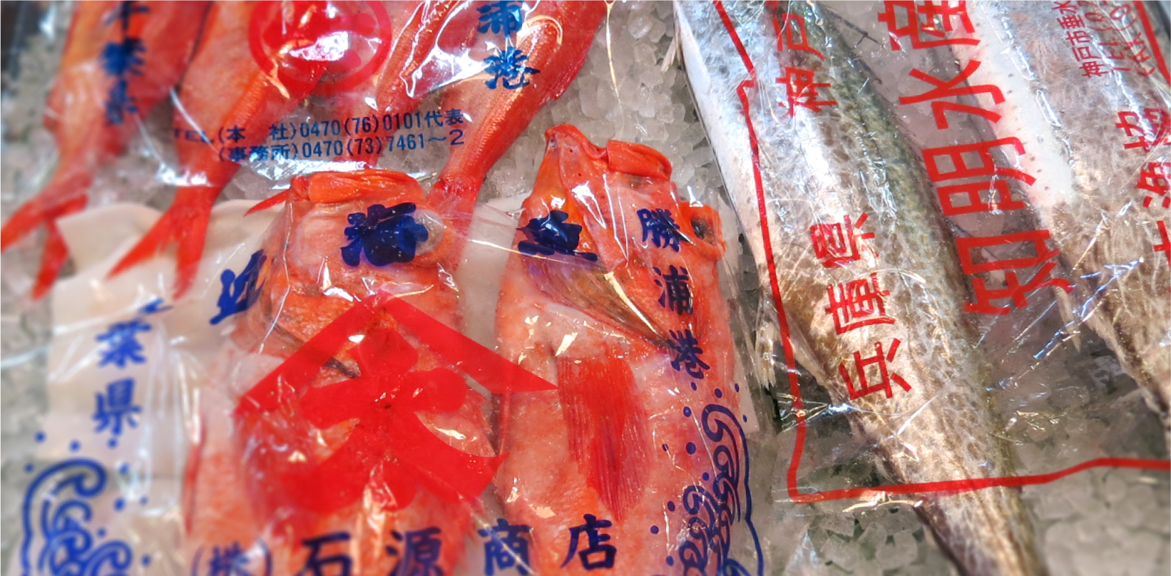 水産物の流通経路