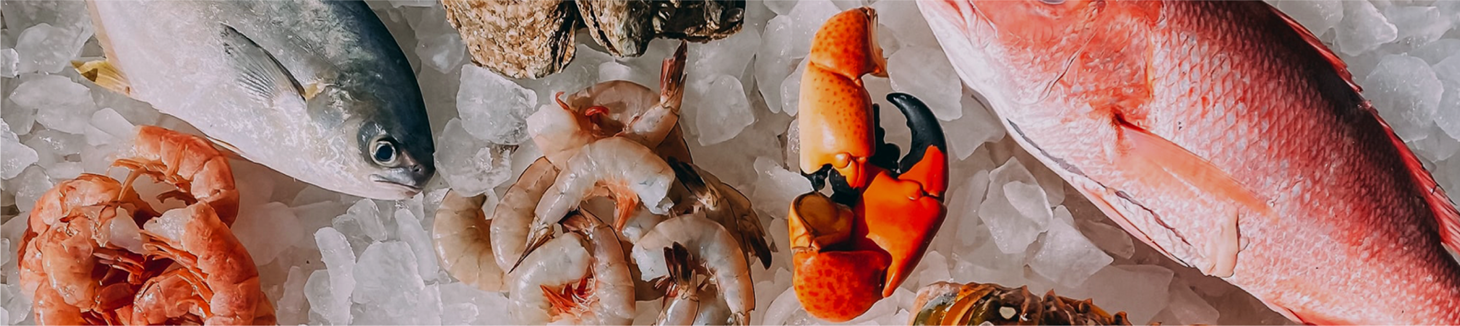 安全への取り組み