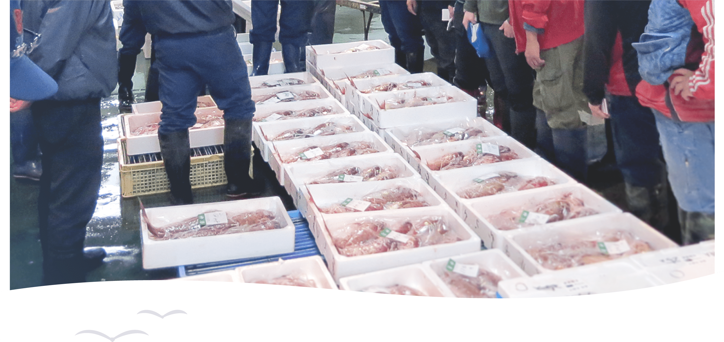 鮮魚・淡水魚・貝類など豊富な魚種が揃う