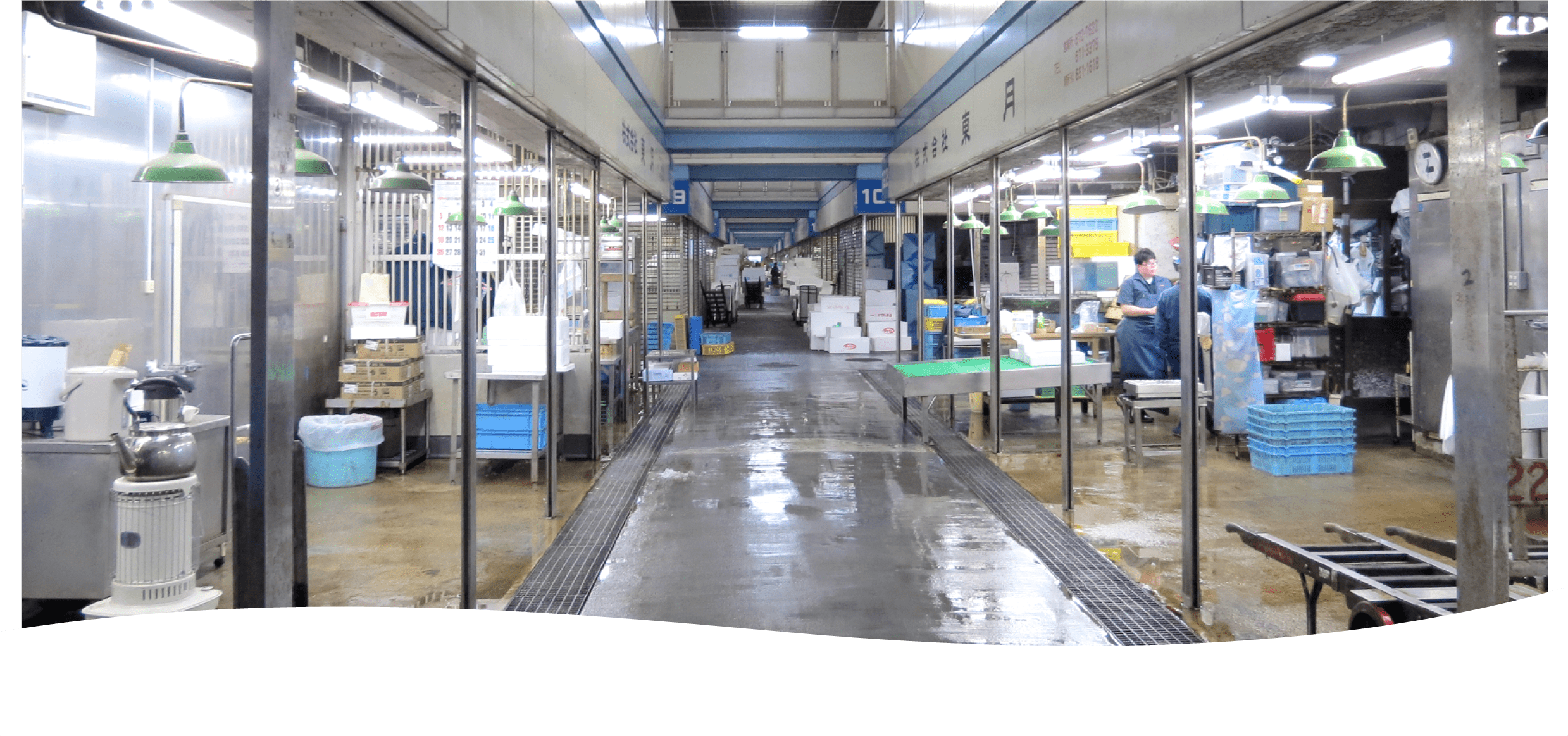 神戸市中央卸売市場本場には毎日多くの新鮮な魚が入荷してまいります。