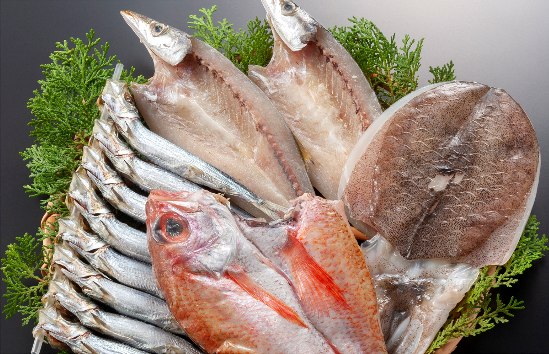 鮮魚と塩干魚とは